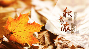 Das Magazin Wind Autumn ist die schönste Herbst-PPT-Vorlage