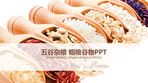 Modelo de PPT de resumo de trabalho de publicidade de grãos grossos e produtos de grãos