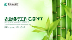 Сельскохозяйственный банк Китая Шаблон отчета PPT о подведении итогов личного профиля