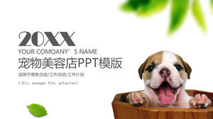 Pet grooming shop brand promotion work plan PPT template