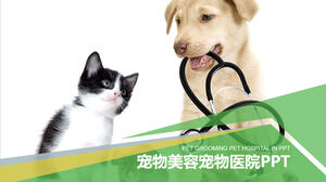 Modèle PPT d'hôpital pour animaux de compagnie de toilettage pour animaux de compagnie