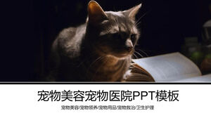Pet grooming pet adoption pet hospital PPT template Pet grooming pet adoption pet hospital PPT template