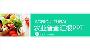 تقرير التعداد الزراعي قالب PPT ترويج المنتجات الزراعية