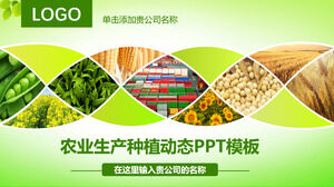 Modelo de PPT dinâmico de plantio de produção agrícola