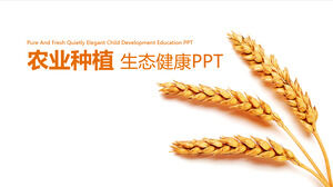 Promosi produk pertanian penanaman pertanian menampilkan template PPT