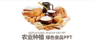农业种植绿色食品宣传PPT模板
