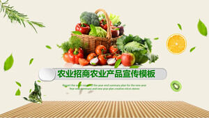 Modelo de PPT de publicidade de produtos agrícolas de promoção de investimento agrícola