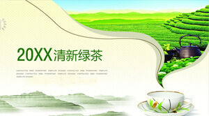 Fresh green tea culture promotion PPT template