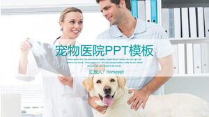 PPT-Vorlage für den Arbeitsbericht eines kleinen, frischen Haustierkrankenhauses