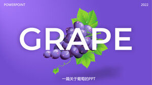 Modèle ppt d'introduction de raisin violet atmosphérique simple