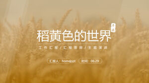 Dünya hasat mevsiminde pirinç sarısı çalışma raporu için Ppt şablonu