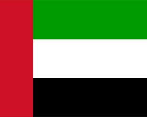 アラブ首長国連邦のPowerPointの旗