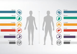 Diagramme médical PPT de 21 couleurs plat hôpital médical Daquan