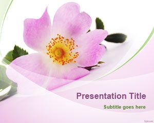 Tunggal Template Flower PowerPoint