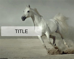 Esecuzione Template Horse Powerpoint Bianco