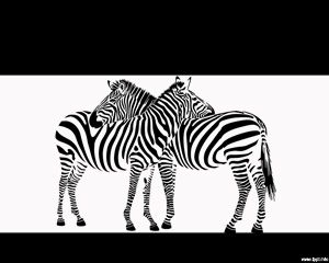 Zebra Powerpoint-Vorlage