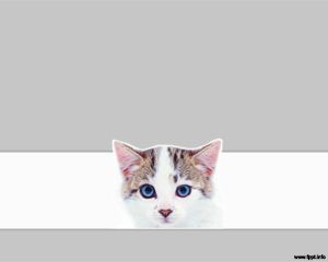 Szablon Pet Cat PowerPoint