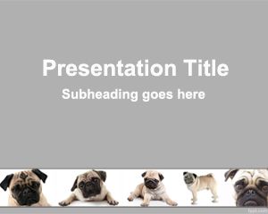 Template PowerPoint Pug