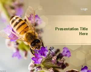 Format Nectar Bee PowerPoint