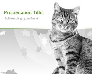 Domestic Cats PowerPoint Template