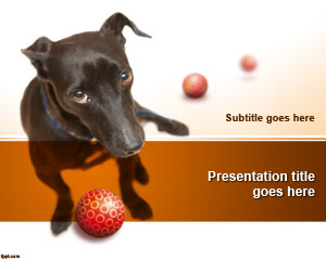 Nehmen Sie einen Hund Powerpoint-Vorlage