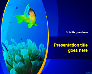 鱼缸的PowerPoint模板