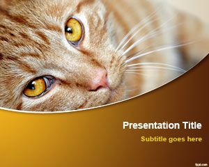 猫的PowerPoint模板