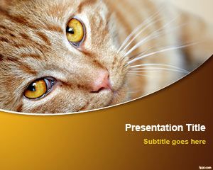 Cat PowerPoint Template Cat PowerPoint Template