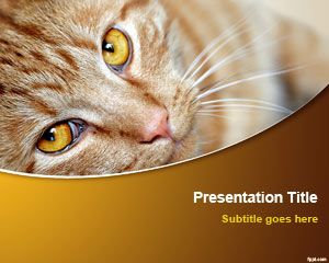 Kedi PowerPoint Şablonu