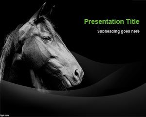 Meister-Pferd Powerpoint-Vorlage