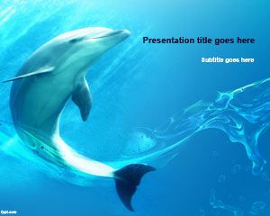 Seaworld PowerPoint Template Seaworld PowerPoint Template