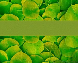 Green Nature Powerpoint
