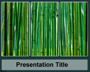 Szablon Sugar Cane PowerPoint