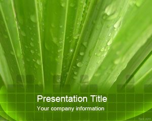 Szablon Aloe Vera PowerPoint