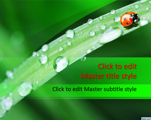 Free Ladybug PowerPoint Şablon