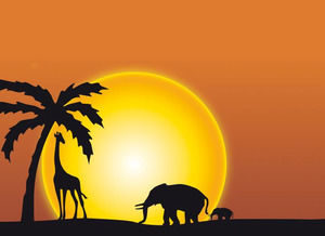 Afrika Vahşi Hayvanlar powerpoint şablonu