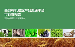 Analysis of Agricultural Products Circulation Platform