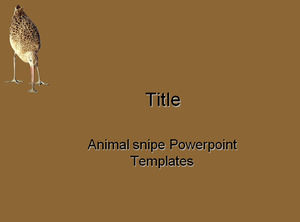 snipe Animal plantillas de PowerPoint