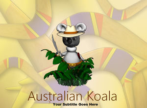 koala australiano