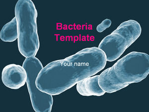 medicina bacteriana