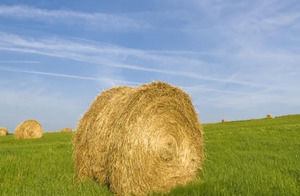 Bale of template powerpoint Straw