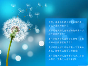 Beautiful dandelion PPT background image download