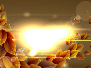 Beautiful glare leaf slide background image