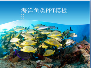 Beautiful Submarine World Fish Fish PPT Template