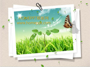 Kupu-kupu Green Grass Template Slide Latar Belakang