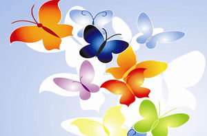 Butterfly Multi Color