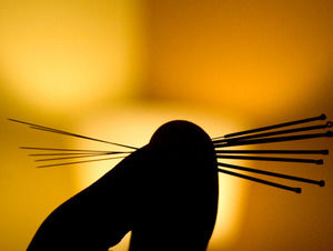 Chinese acupuncture Chinese acupuncture