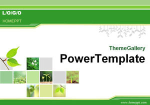 Fundo da planta modelo de PPT de download verde clássico