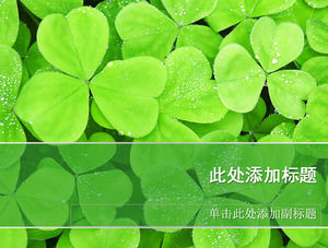 Clover HD background picture PPT nature template
