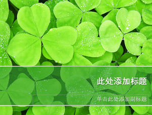 gambar latar belakang Clover HD PPT alam Template